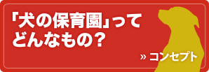 banner_concept