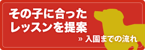 banner_flow