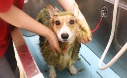 緑に染まってます🍃
