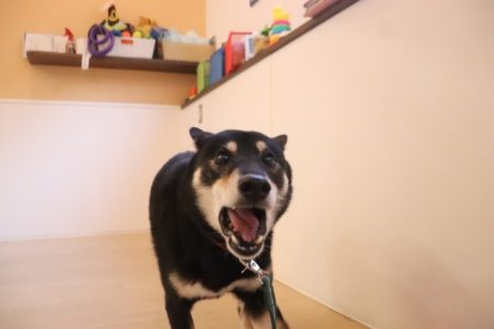 ムンクの叫び！？