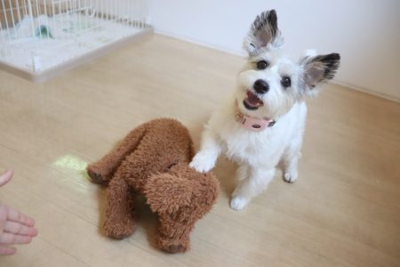 相方募集中(^o^)💛