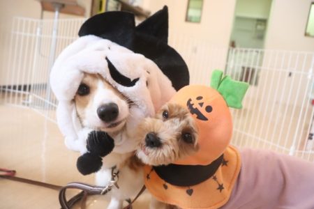 ＼🦇Happy Halloween★2023🦇お友達編／