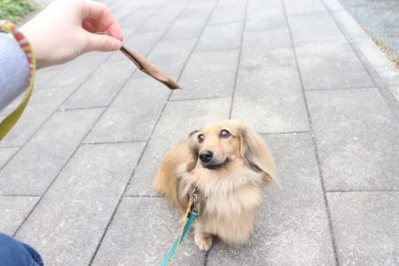 葉っぱの舞う季節ですね…🍂