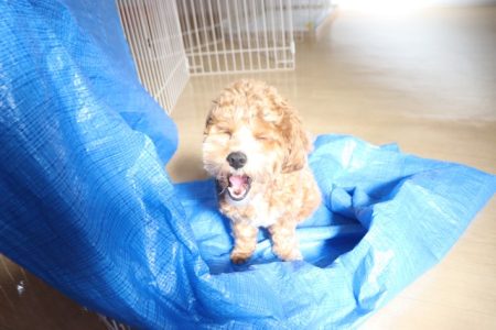 日向ぼっこは気持ちいいね🌞