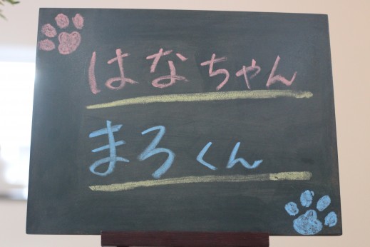 三鷹駅　吉祥寺駅　犬の保育園　ばうびー　しつけ　トレーニング