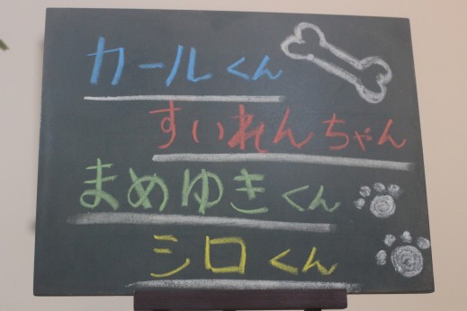 犬の保育園　ばうびー　しつけ　トレーニング