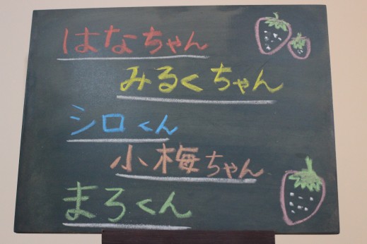 犬の保育園　ばうびー　しつけ　トレーニング