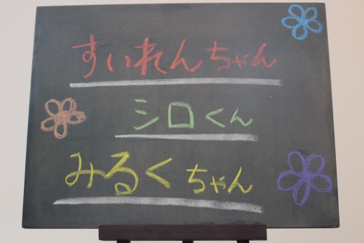 犬の保育園　ばうびー　しつけ　トレーニング　ミニチュアダックスフンド　マルチーズ　　トイプードル　　MIX　豆柴