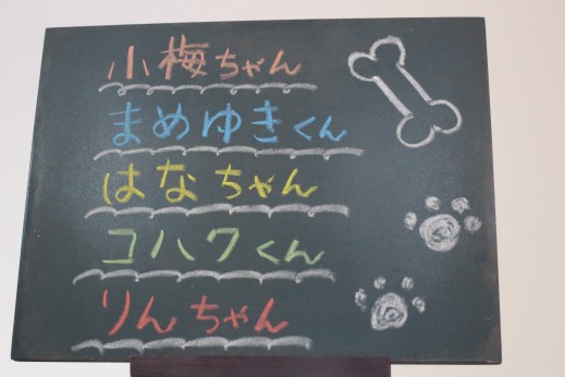 犬の保育園　ばうびー　しつけ　トレーニング