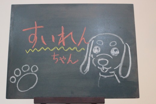 犬の保育園　ばうびー　しつけ　トレーニング　