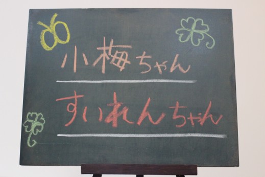 犬の保育園　ばうびー　しつけ　トレーニング