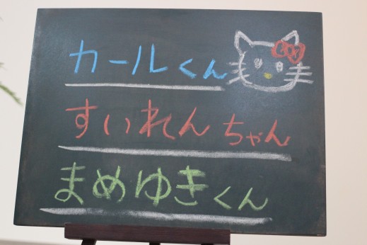 犬の保育園　ばうびー　しつけ　トレーニング