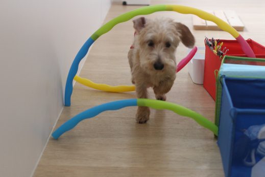 ハードル　運動　体を動かす