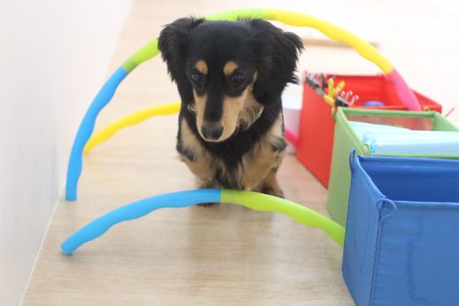 ハードル　体を動かす　体力　飛ぶ