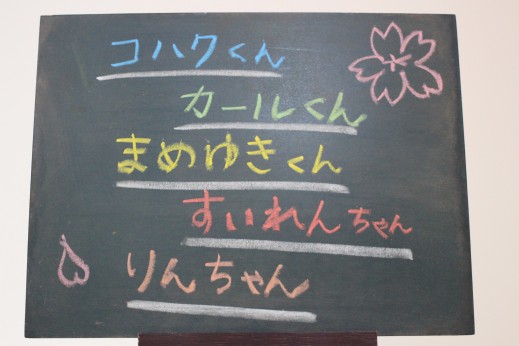 犬の保育園　ばうびーしつけ　トレーニング