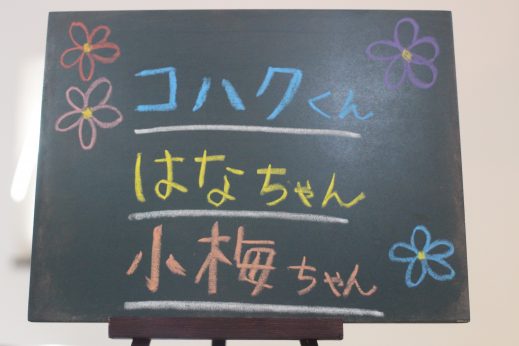 犬の保育園　ばうびー　しつけ　トレーニング