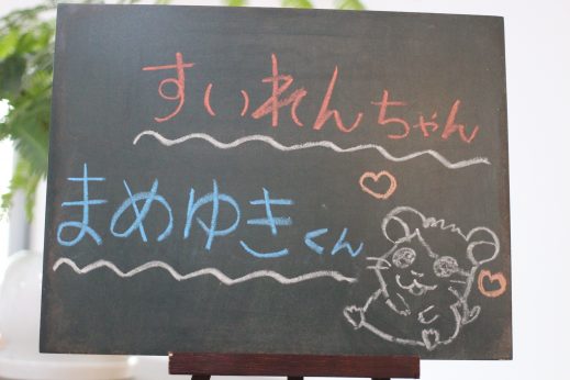 犬の保育園　バウビー　幼稚園　ミニチュアダックスフンド　フレンチブルドッグ　保育園生紹介　しつけ　トレーニング　