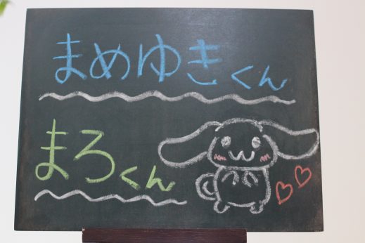 犬の保育園　バウビー　しつけ　トレーニング　保育園生　幼稚園生　パピー　