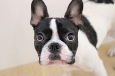 IMG_6075
