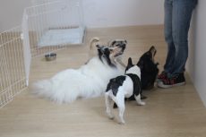 IMG_6757