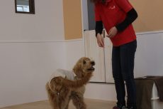IMG_8060