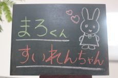 犬の保育園　バウビー　しつけ　トレーニング　柴犬　ミニチュアダックスフンド　