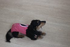 IMG_0673