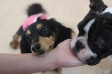 IMG_0869
