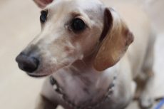 IMG_4357
