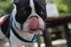 IMG_4514