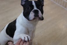 IMG_4589