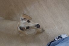 IMG_4792