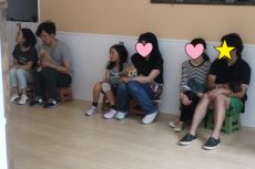 パピーパーティー　ミニチュアシュナウザー　シーズー　トイプードル　マルチーズ　MIX　♂　子犬の社会化　子犬の育て方　子犬のしつけやトレーニング方法　やり方