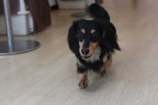 IMG_6262