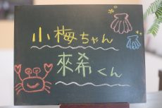 犬の保育園　バウビー　しつけ　トレーニング　小型犬　大型犬　三鷹駅　吉祥寺　犬の幼稚園