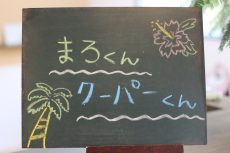 犬の保育園　バウビー　しつけ　トレーニング　三鷹店　吉祥寺　東京　犬の訓練のやり方