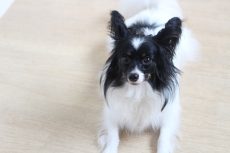 IMG_0027