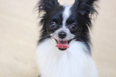IMG_0072