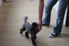 IMG_0446
