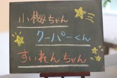 犬の保育園　バウビー　しつけ　トレーニング　三鷹店　吉祥寺　犬のしつけ方　