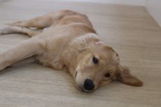 IMG_0836