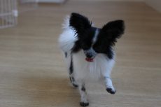 IMG_2622