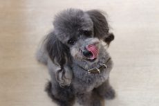IMG_9200