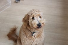 IMG_3028