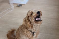 IMG_3032