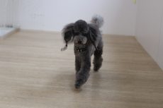 IMG_3390