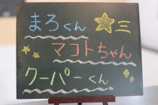 犬の保育園　バウビー　しつけ　トレーニング　東京　三鷹駅　吉祥寺　犬のしつけ教室