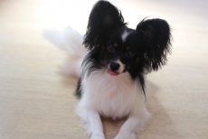 IMG_3418