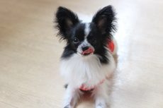 img_4328