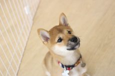 img_0020